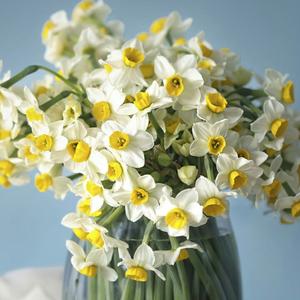 儿子最好的妈妈头像