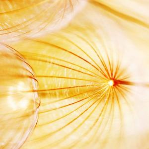 台州兴星种子经营部头像