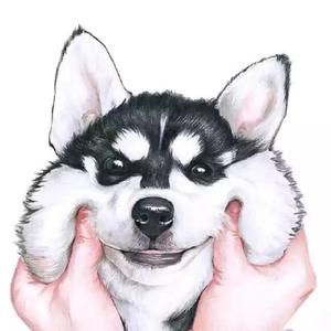 别追我，我怕🐶头像