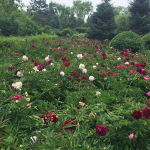 用户一生无悔头像