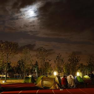 网络时代的蜗牛头像