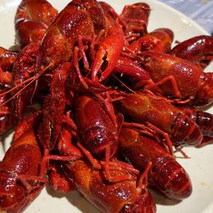 老二鑫虾王头像