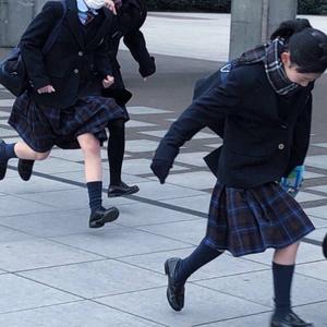 山有木兮工作室头像