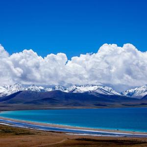 迷茫的小张DZ头像