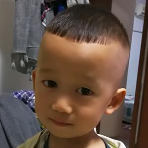 🦄东海啊东海头像