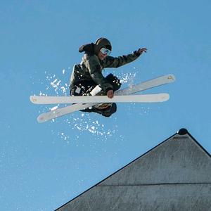 蓝天白云雁头像