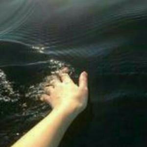 西安鉴锁堂头像