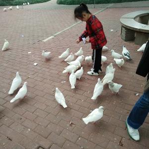 忒想喇个双眼皮儿头像