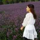 金猪姐姐流浪记头像