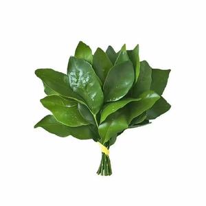 金玉❤️满堂❤️头像