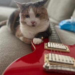 喵咪喵咪嗷～头像