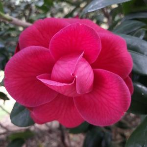 哎呀玛电动车头像