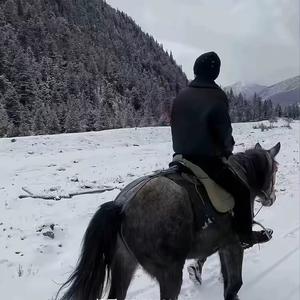 故人与君绝头像