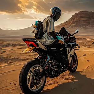 扶摇九万里头像