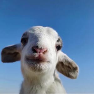 八月❤️（求关注）头像