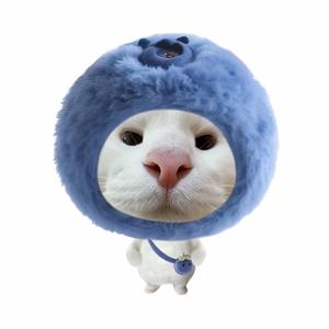 上迪管家·蓝莓头像