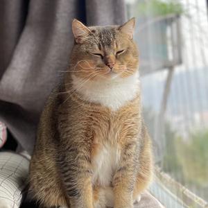 大大.      💤头像