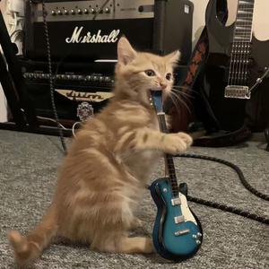 骑车记得戴头盔头像