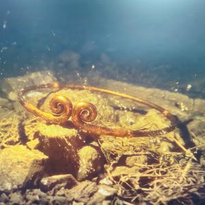 带上猫猫去旅行头像