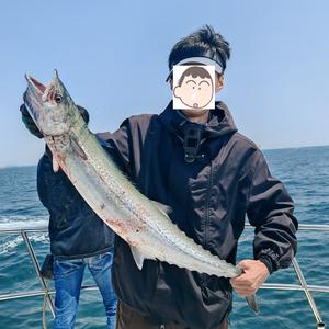 没肉不吃饭🍚头像