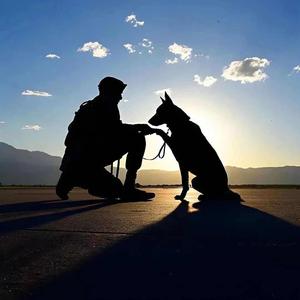 天生反骨👀头像