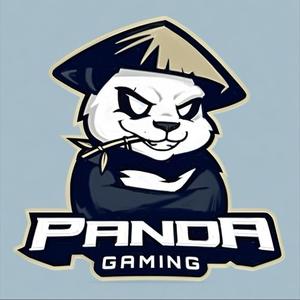 小派解说（三角洲行动）头像