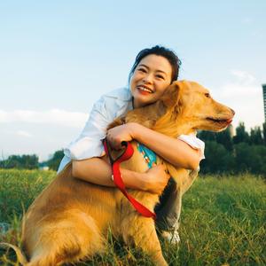 石头妈妈宠物食堂头像