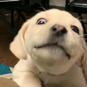 🌈是君君呀头像