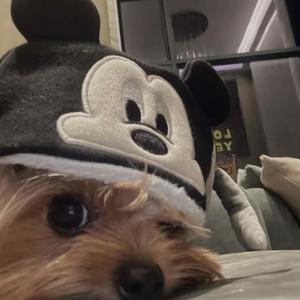 希望时间长脚ˊ头像