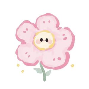 优品壳壳数码头像