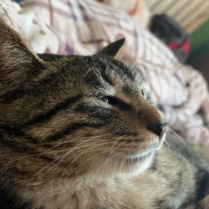 小说推文（完结版）头像