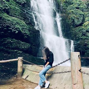 小新和小白头像