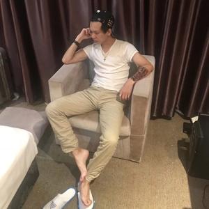 暴力和平鸽头像