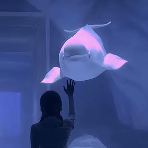 🐋ㅤㅤ头像