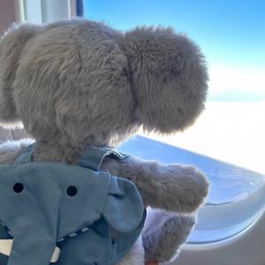 见面要打招呼头像