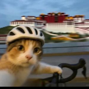 東東女王_⭐️头像