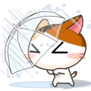 也怪爱不坦诚💦头像