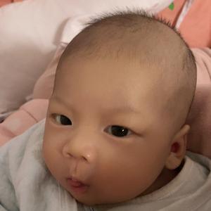 一颗晨仔🐰头像