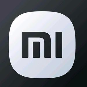 小米汽车|武汉新荣洛洛头像