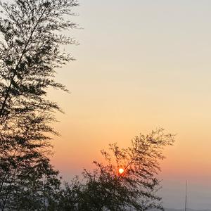 定（人员、车辆、宠物、贵重物品）头像