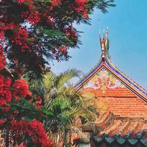 花開🌸向佛头像