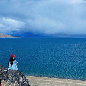 别来无恙🐾头像