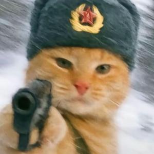 就叫我小王吧头像