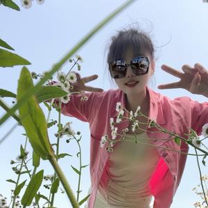 🪶小小鸟🕊头像