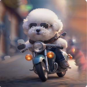 🍀✨安✨好✨🍀头像