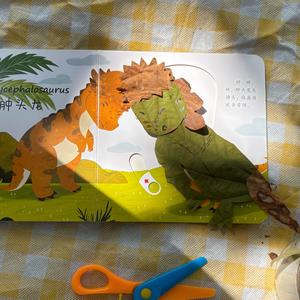 斯人观日落🌈头像