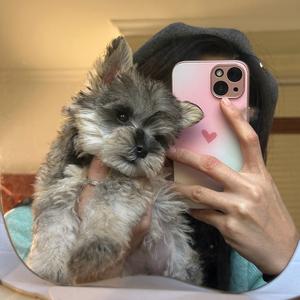 一颗西柚🍊头像