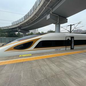 金凤5033头像