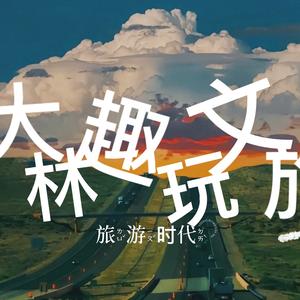 大林趣玩文旅头像