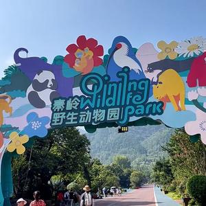 🌈大瓶超爱玩头像